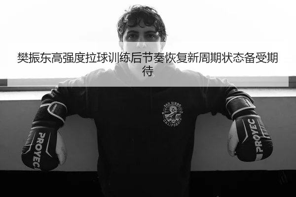 樊振东高强度拉球训练后节奏恢复新周期状态备受期待
